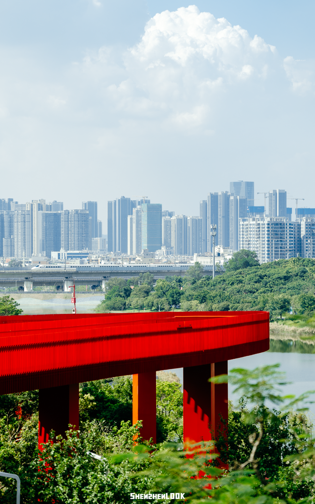 深圳环境五星的「网红公园」，不能再低调了