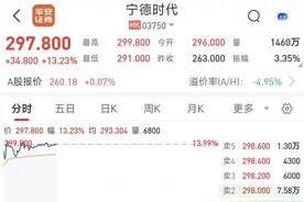 宁德时代登陆港股，大涨超13%！或成全球年度最大IPO图片