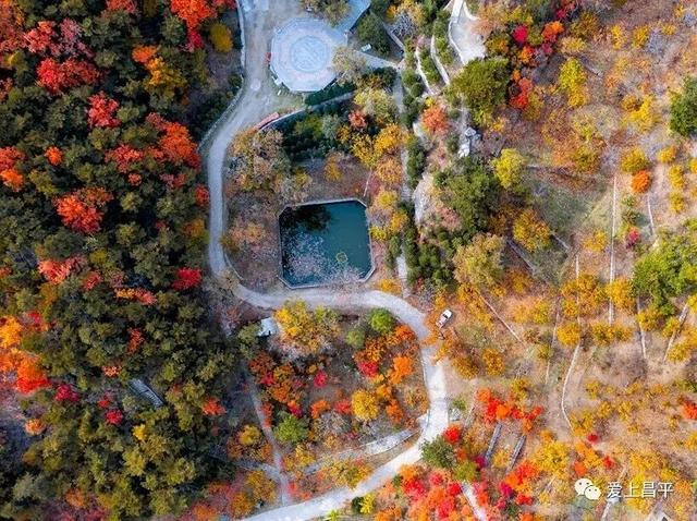 人少景美！北京这些古刹红叶正在最佳观赏期！