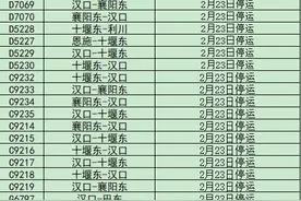 注意！武汉、襄阳、宜昌等火车站部分列车停运，天河机场关闭时间延迟图片