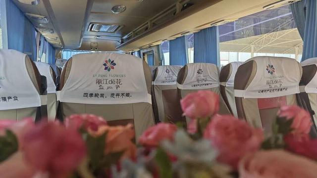 途经多个热门景点，丽江这趟旅行直通车开始运营！