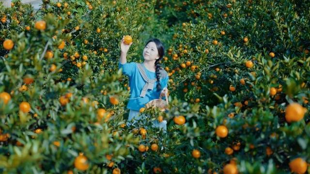 组个“橘” “宜”起“都”来解锁新乐趣→