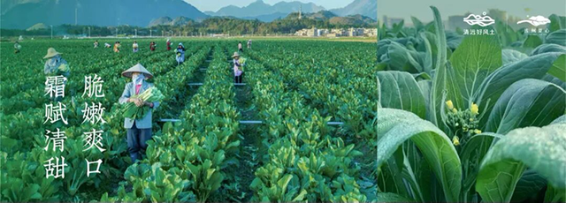 从北江到大湾区，清远为何是广东隐藏的“潮”城？