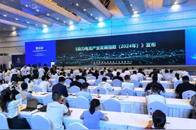 反映产业动态变化和年度进展 《动力电池产业发展指数（2024年）》发布图片