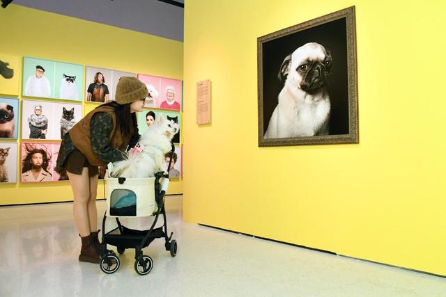 人工智能助力中国宠物经济