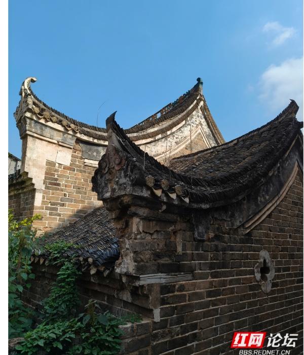 秋游时刻丨漫步萱洲古镇，邂逅江南旧时光