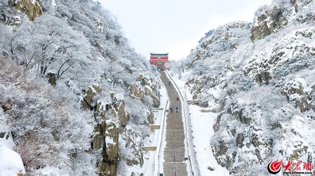 泰山冬日初雪 漫山银白如画
