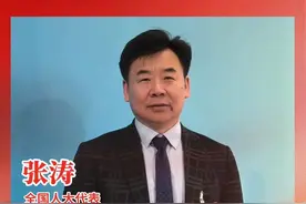 全国人大代表、北京航空航天大学教授张涛：鼓励民营商业航天企业积极出海 | 两会专访图片