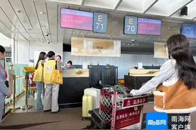 带28只“毛孩子”“打飞的”来三亚看海 海南航空西安至三亚宠物包机航班抵琼图片