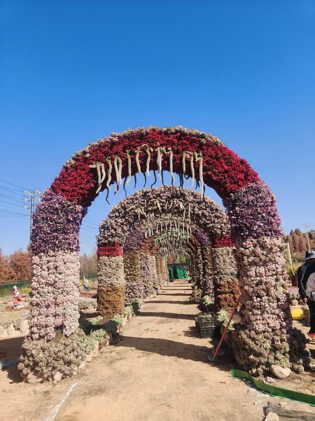 唛唛！这只“巨型孔雀”即将在斗南湿地公园华丽开屏