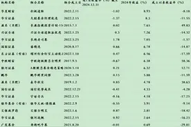 2024明星投顾组合账本：A股和海外组合均实现正收益，海外投顾组合年底忙调仓图片