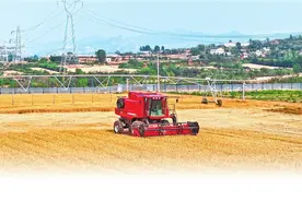 奋力谱写中原大地推进中国式现代化新篇章 | 坚决打赢“三夏”攻坚战图片