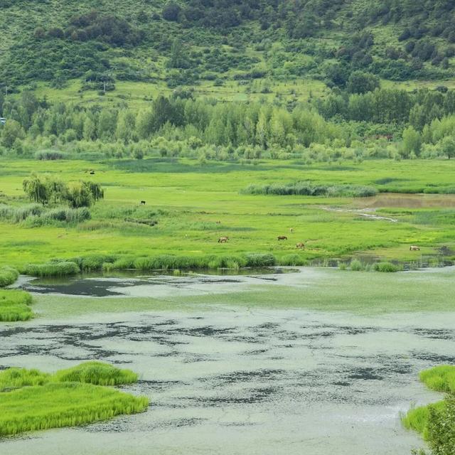 转山转海节倒计时！喊你来做一天“摩梭人”！