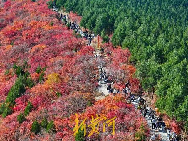 半山苍翠半山红！济南“鸳鸯火锅”惊艳上线 | 新黄河AI音乐