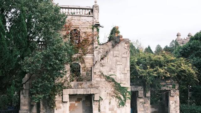 域见上海·域见奉贤｜奉浦秋日限定！这三条宝藏路线，承包所有秋日浪漫，刷爆朋友圈就靠它