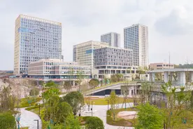 市州观察丨抢抓机遇 加速提质增效 内江服务外包产业发展动力澎湃图片