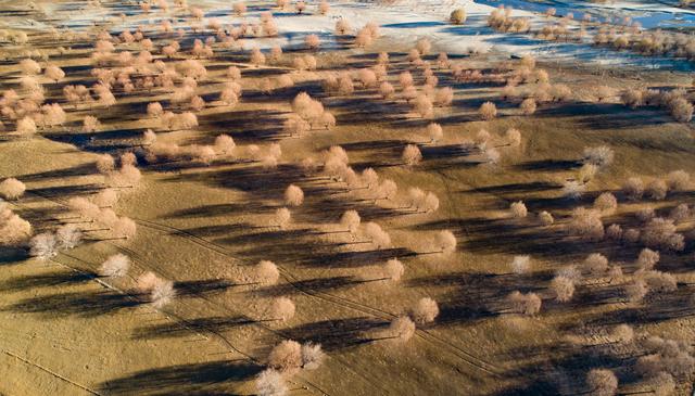 心动吗？这些冬日美景错过了就要再等一年！