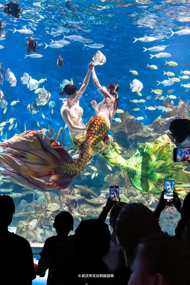 马上过节，武汉多家景区免票！
