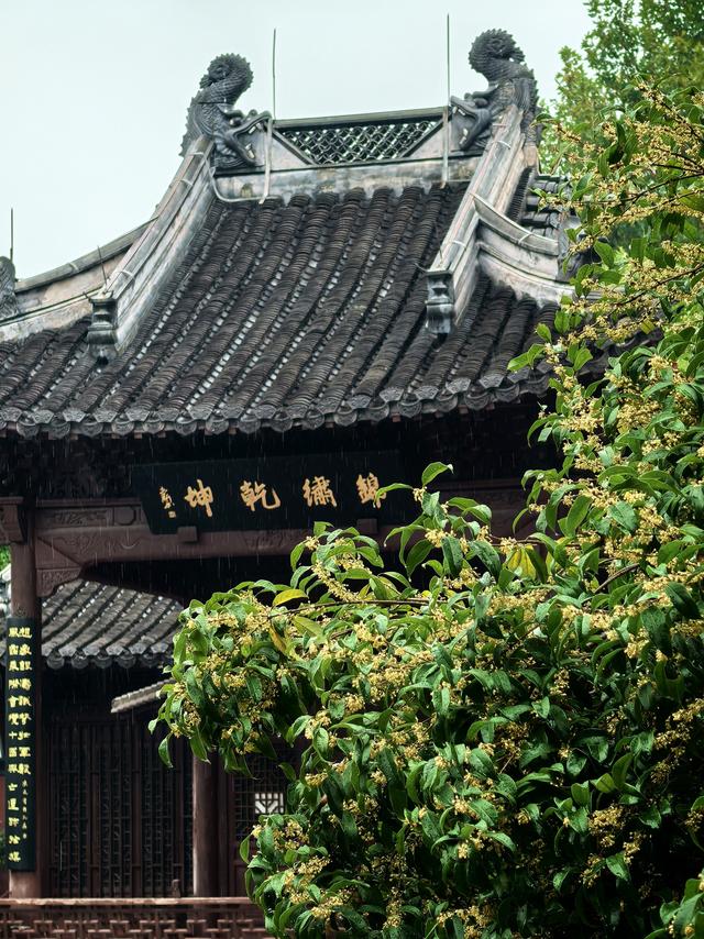 晚潮｜苏堤夜月与钱祠香雨