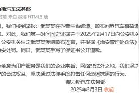 问界汽车遭遇造谣！赛力斯发声图片