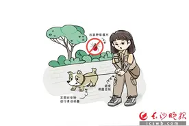 蜱虫活跃期，野外活动最好穿长衣长裤图片