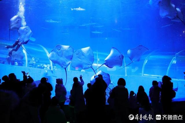 当“金色沙滩”遇见“红火新年”，日照文旅何以“热气腾腾”？