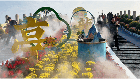 菊花文化节，来开封就得这么玩~