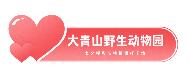 七夕推荐打卡地！这8个约会宝地你和TA都去过了吗？