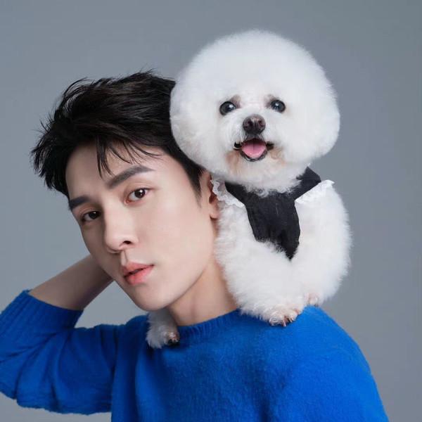 李佳琦辛选风波不断 双11直播带货乱象有何“病根”？