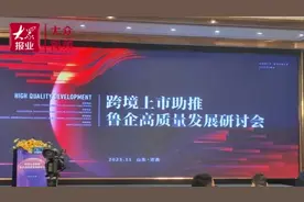 跨境上市助推鲁企高质量发展研讨会在济南举行图片