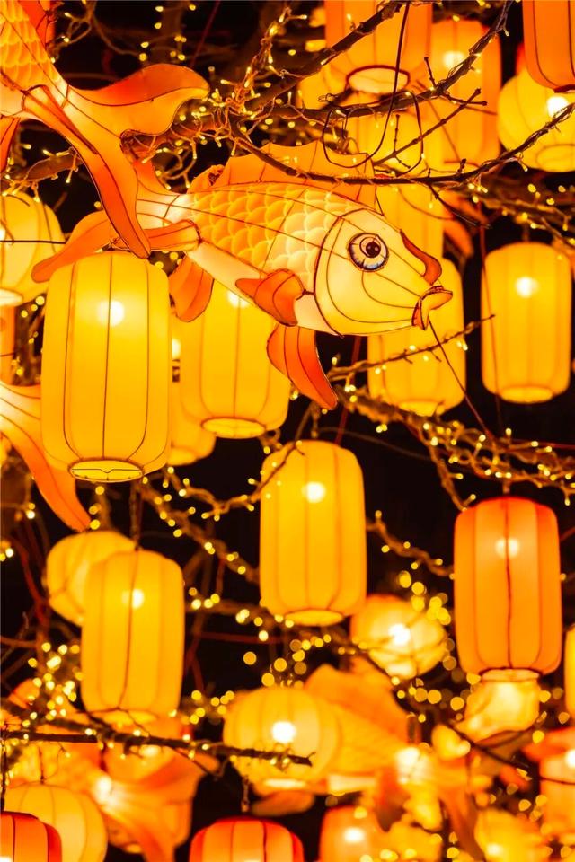 氛围感拉满！海淀这条街，年味儿已“上线”——