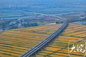 快速通道基本具备通车条件！凤台、毛集居民有福了图片