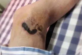 有人深夜中招！家中出现它要小心……图片