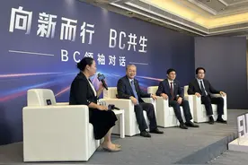 隆基、爱旭联手喊话，两到三年后BC市场份额50%以上图片