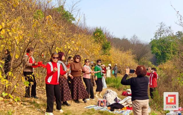 香气满园！自贡盐都植物园邀您赴一场冬日幽香之约