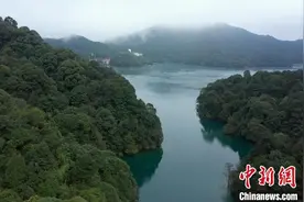 广东累计投入省级以上公益林补偿资金317亿元图片