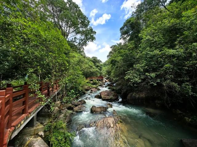 视觉增城｜亲水清凉游升级 暑期“水经济”活力迸发