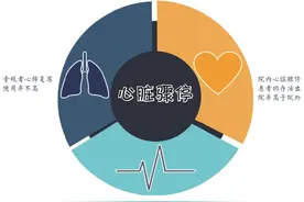我国首部心脏骤停报告发布 | 公众实施心肺复苏有待提高图片