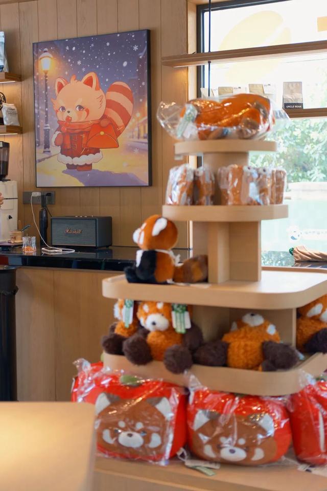 欢迎来到熊猫的家！保姆级攻略请收好！