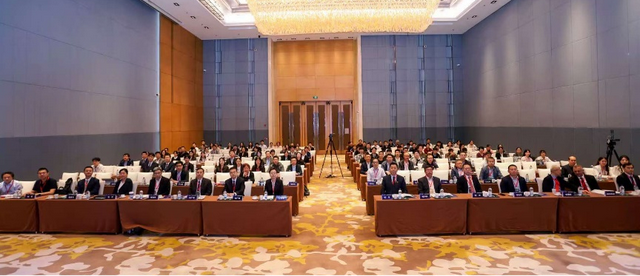 第八届国际磁外科大会在西安举办