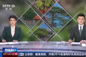 《古树名木保护条例》今天施行视频封面