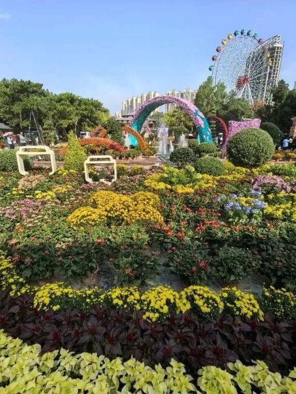 “双节”期间，王城公园上新啦！