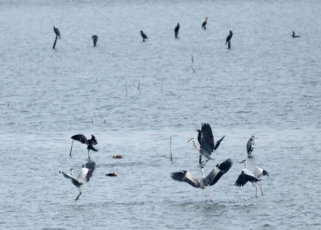 到了到了官方确认：已抵达杭州！