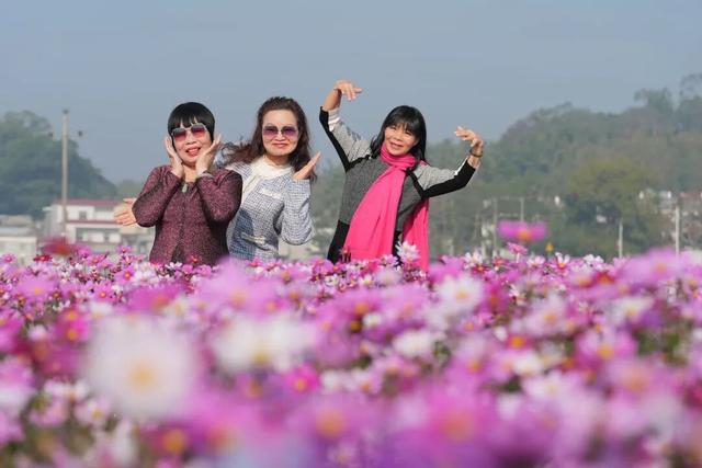 冬日粉色浪漫藏不住了！江门邀你赴约→