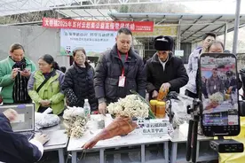 无人机运送+直播带货！四川平武山野菜“飞”出深山畅销全国图片