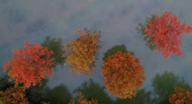 酉阳初冬美景合集：邂逅山间调色盘，每一帧都是壁纸！