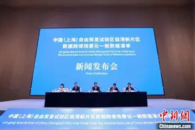 上海自贸区临港新片区发布全国首批数据跨境场景化一般数据清单图片