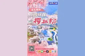 联“县”直播预告丨追花郧阳 赏游这抹樱桃“粉”图片