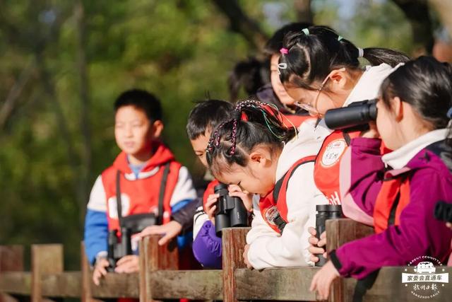 12.07 独立营｜冬日寻羽记：解码西湖候鸟的越冬密码！鸟类专家带队，探秘茅家埠“鸟类天堂”，体验听声辨鸟、飞羽寻踪的野趣周末！