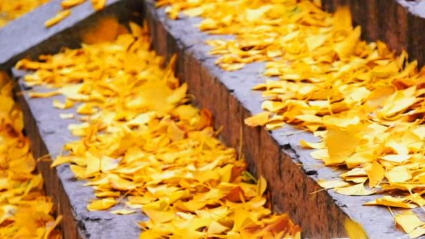 山西的秋天，藏着古建与山水的双向奔赴